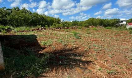 Property for Sale - Residential Land -   