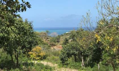  Property for Sale - Residential Land - riviere-noire  