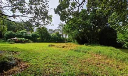  Property for Sale - Residential Land - curepipe  