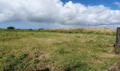  Property for Sale - Residential Land - mont-choisy  