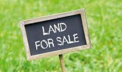 Property for Sale - Residential Land - rivi-egravere-noire  