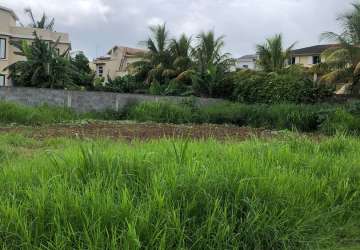 Property for Sale - Residential Land - rose-hill  
